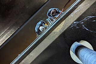 Service technician inspecting barrage gates
